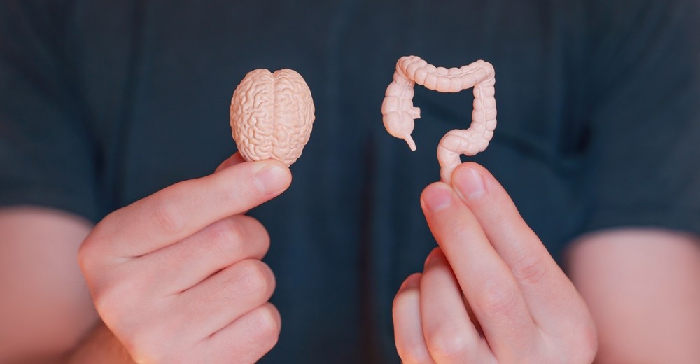 Gut Health and Mental Health